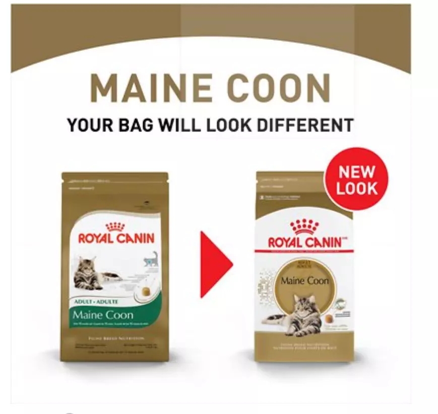 Royal Canin Maine Coon Dry Cat Food